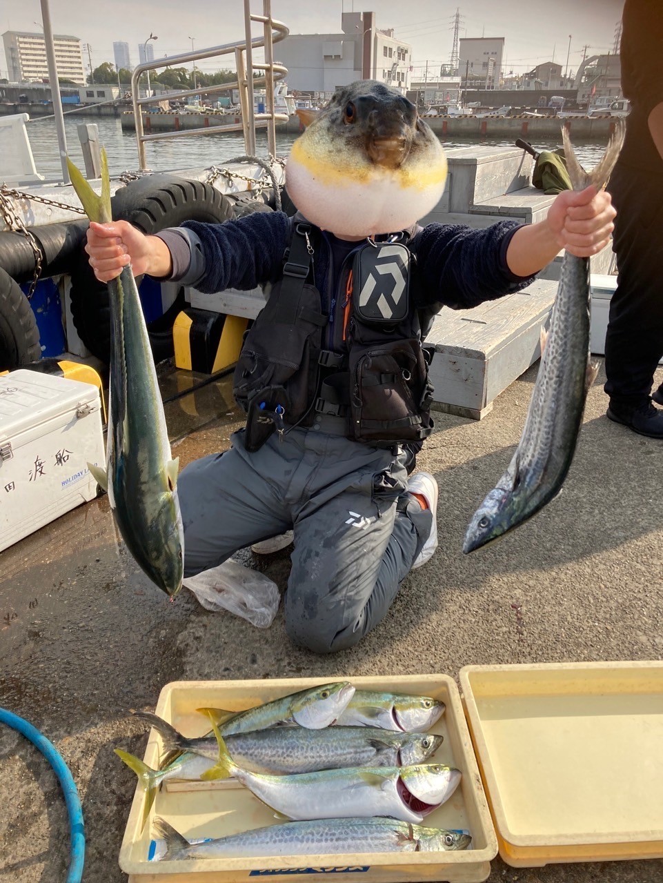 サゴシ特集 Part1 サゴシを狙い撃ち ショアジギングにおけるサゴシ釣りのコツ てっちりのフィッシングlabo