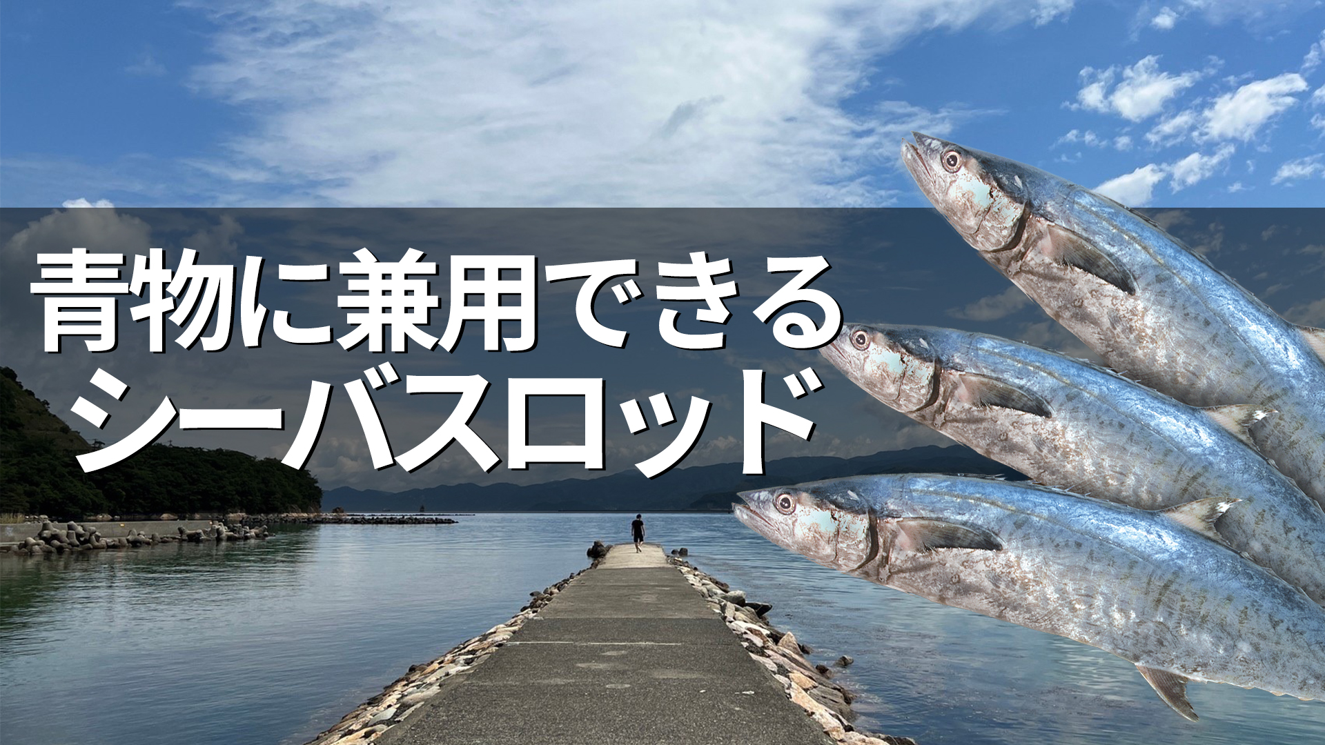 ショアジギングでの青物釣りにおすすめの万能シーバスロッドはこれだ 