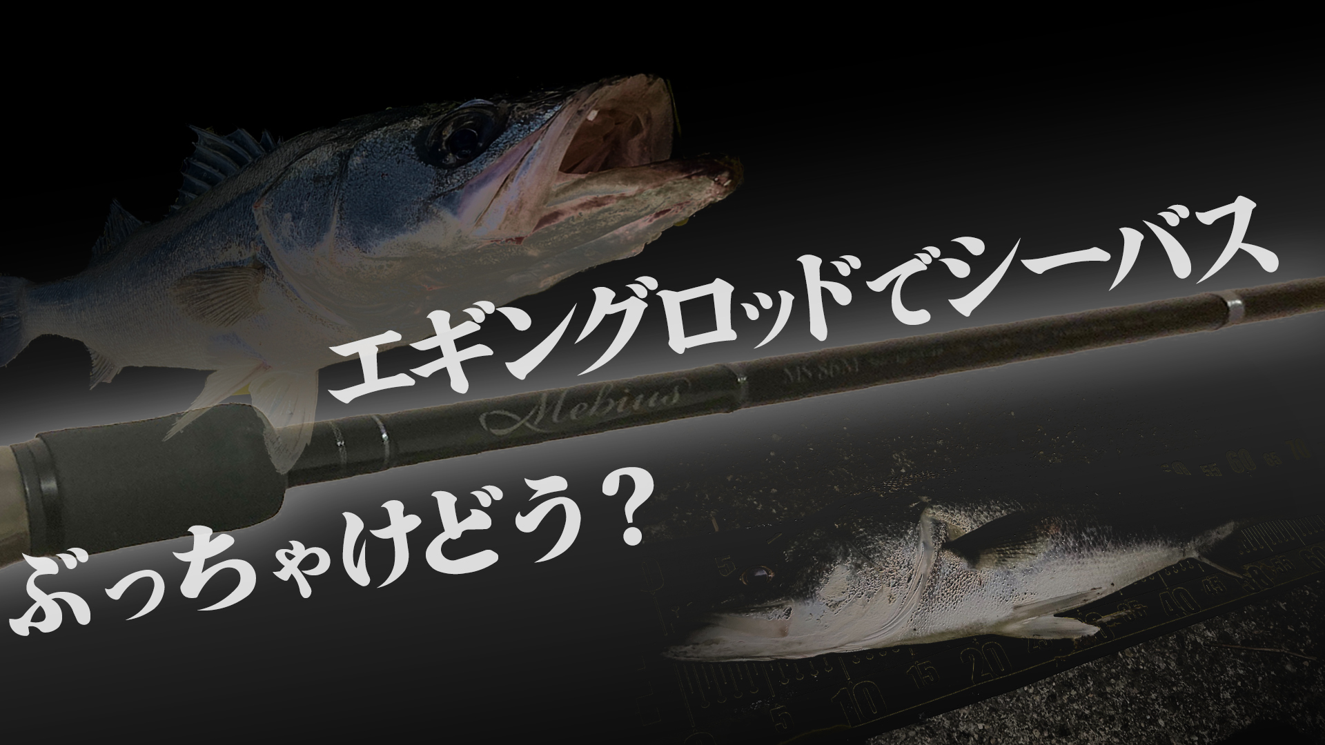 エギング ロッド シーバス