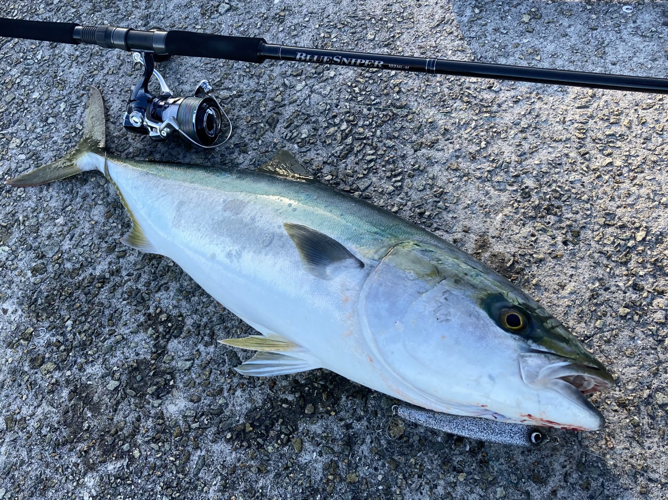 ヤマガブランクス ブルースナイパー 77/3 (YAMAGA Blanks Blue Sniper)  ヤマガブランクス ブルースナイパー 79&frasl;3 YAMAGA Blanks Blue